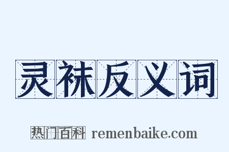 灵袜反义词是什么意思的图片